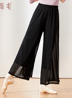 速发古典舞裤子夏舞蹈裤练功服裤纱裤中国腿飘色网纱黑逸宽松阔舞