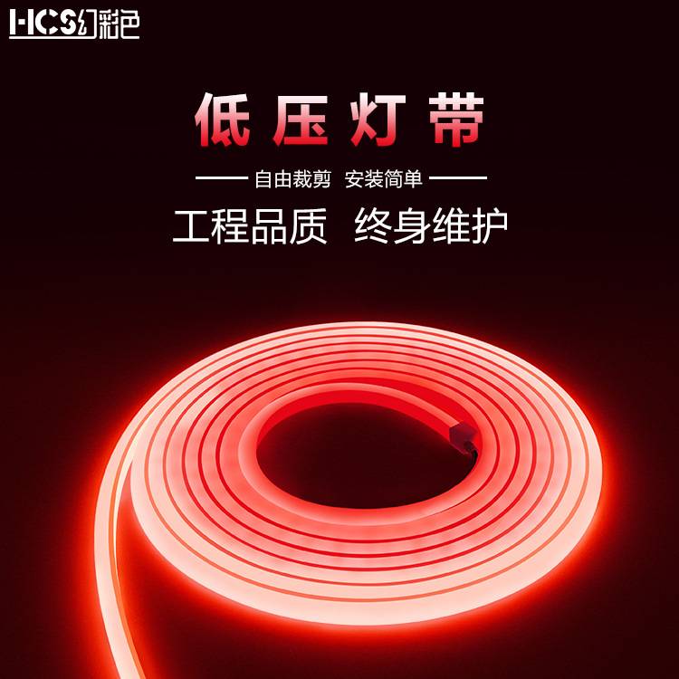 2835RGB七彩渐变120灯户外装饰亮化低压12V24V1010MM霓虹管灯带