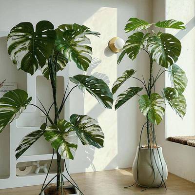 楼夏家白锦龟背竹仿真绿植客厅装饰摆件轻奢假树大型仿生植物盆栽
