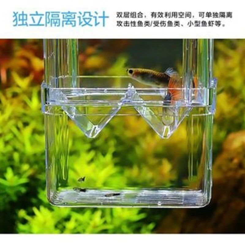 速发凤尾鱼产子箱双层幼鱼孵化盒热带鱼繁殖小鱼孵化器繁殖箱幼鱼