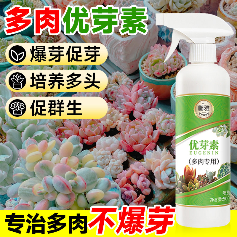 速发优群素多肉专用芽养液肥料爆芽素绿植物促芽催芽矮胖素促营生