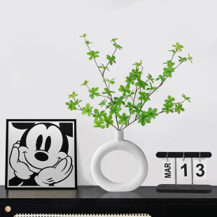 速发现客厅入户玄关电视鞋柜软装饰品面家绿植摆件画钟居桌吊级感