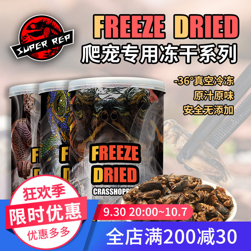 速发Rep保鲜冻干面包虫蝗虫蟋蟀干爬虫鬃狮熊龙鱼鸟刺猬食物饲料