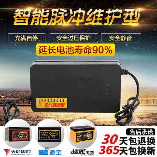 速发电动车电瓶车载6VVAV12AH60V64V72480V84V6V2082A包邮