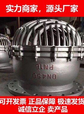 德国十大品牌SSDF水上式底阀大口径焊接水泵止回阀水泵龙头碳钢不