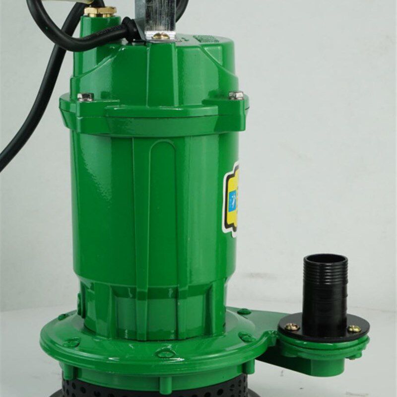 现货速发迷你抽水泵小型220v180用潜水泵高扬程灌溉农用手提式水