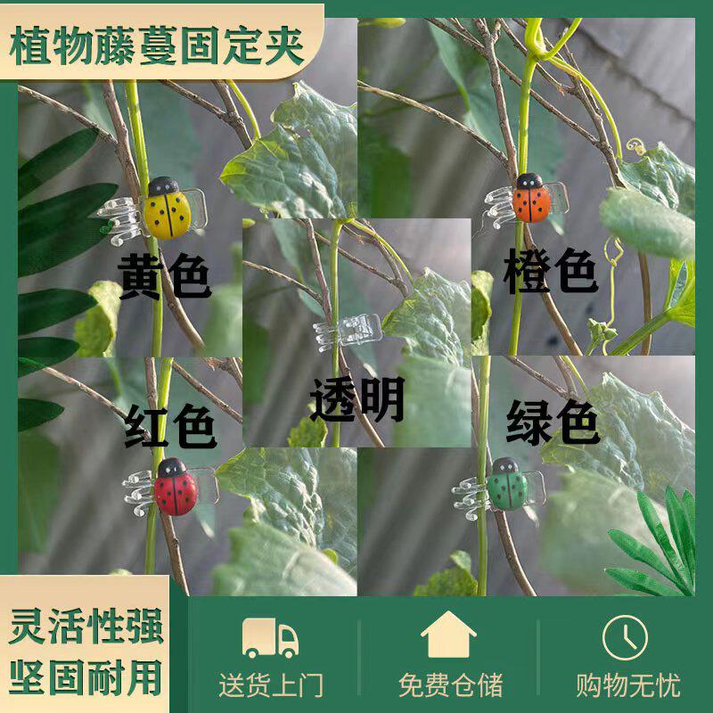 现货速发可爱瓢虫装饰夹子蝴蝶兰铁线莲爬藤植物支撑固定彩色园艺