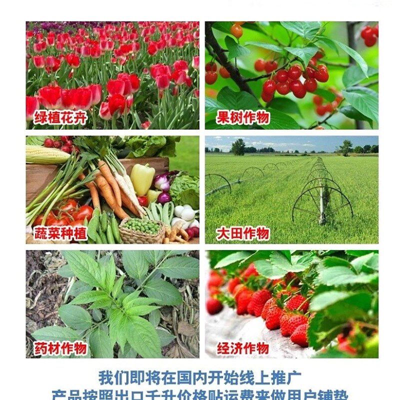 现货速发锌硼钾钙镁铁微量元素水溶肥料果树蔬菜肥料通用海藻氨基