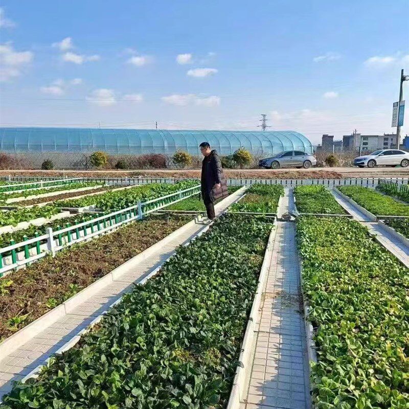 现货速发菜沟板成品菜园子围栏石家用田园挡土板乡村建设菜地沟板