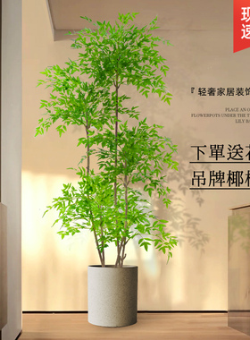 现货速发绿色植物南天竹高端轻奢室内仿生植物装饰客厅大型落地摆
