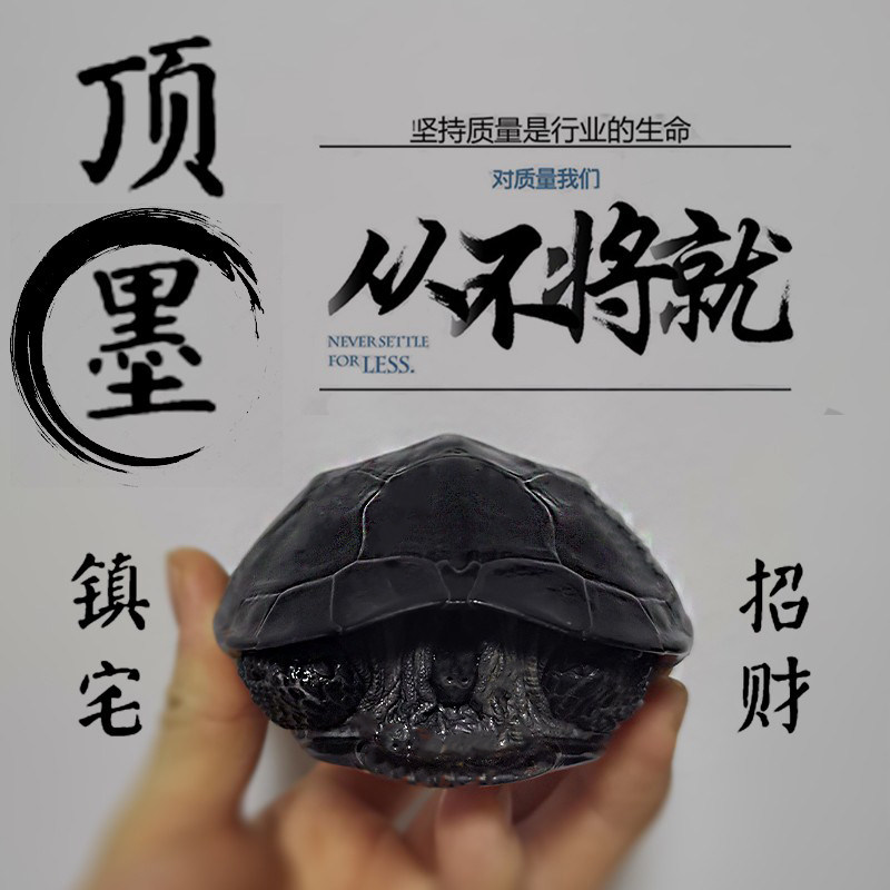 现货速发乌龟顶墨龟外塘冷水中华草龟苗小大龟物情侣龟长寿