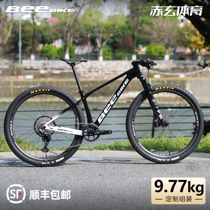 BEE定制组装9.77kg山地碳纤维29寸越野自行车整车150超响轮组