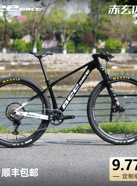 BEE定制组装9.77kg山地碳纤维29寸越野自行车整车150超响轮组
