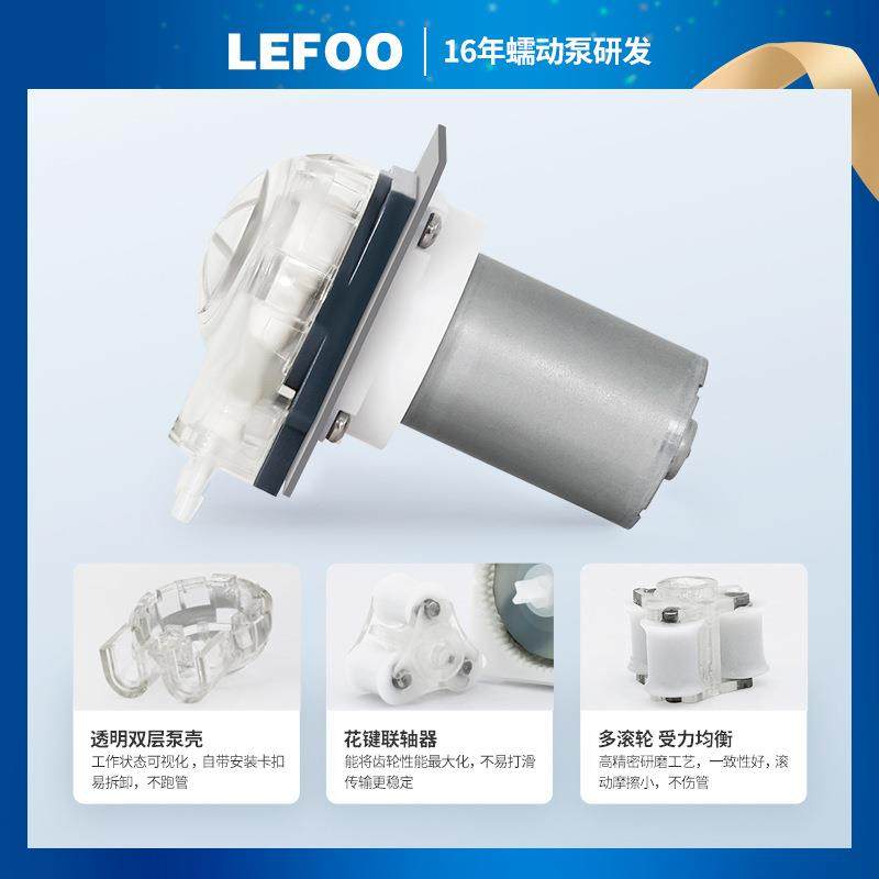力微型夫蠕动泵12V2FST微4电V无刷机精密量灌装工业自吸小抽水泵