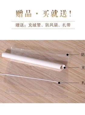 羽密绒AI-62508被被壳被套80支高立钻自衬款充绒半成品绒跑毛内胆