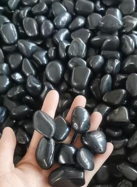 光黑色抛园鹅卵石庭院盆栽景观林别墅铺路造80366景石自然黑石