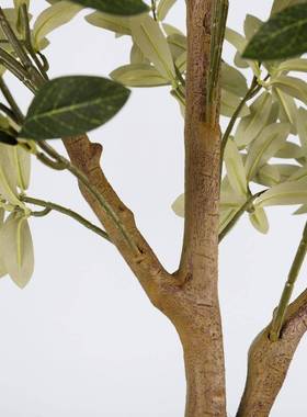 仿真橄榄树盆栽家居QH-54011大假真树植客厅型室内绿橱窗装饰仿树