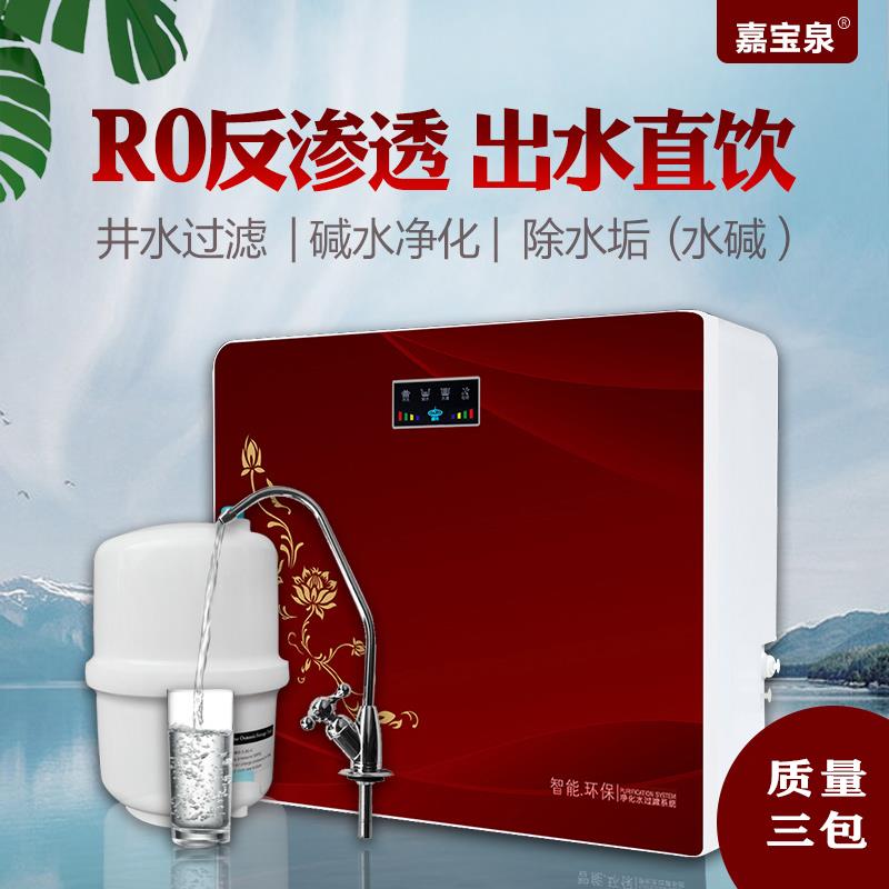 反渗透净水机家用直饮有桶自来水ro纯水机除垢除味井水微自吸智能