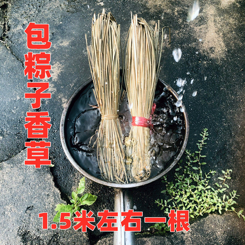 现货速发马莲草 包粽子绑螃蟹 香草粽绳 包粽子的线棉绳线条水草
