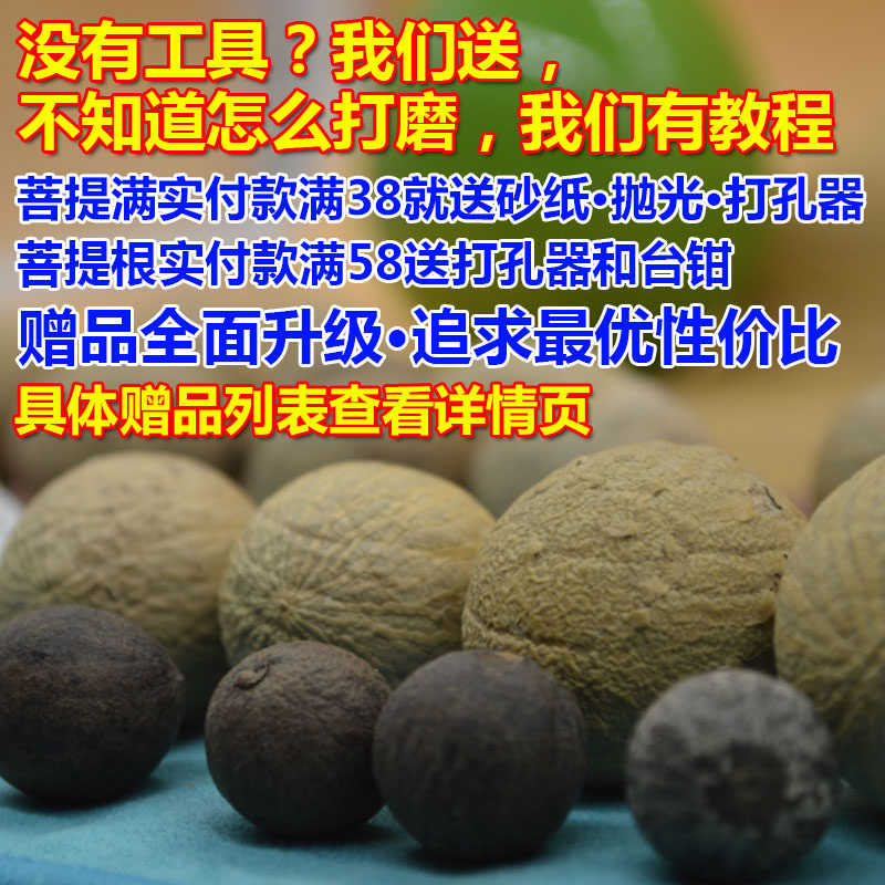 现货菩提子原籽白玉菩提q根原料手串手链斤个大散珠高密戒指风化1