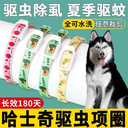 现货速发哈士奇体外驱虫项圈驱蚊脖圈除跳蚤除虫去蝨环幼犬可调节
