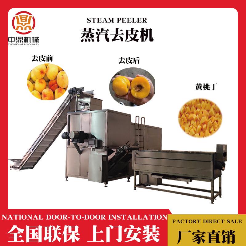 黄桃蒸汽清洗去皮机桃子脱皮专业设备速冻果肉丁生产设备全线