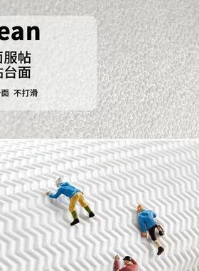 PVC客厅地垫污可免地毯防水防沙发茶几垫家用大面积PRD洗满铺擦垫