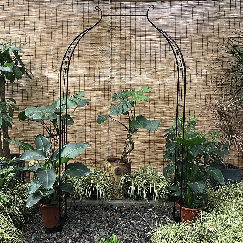 铁艺葡萄架钢管铁线莲月季拱门花架爬藤架子拱形攀爬植物支架户外