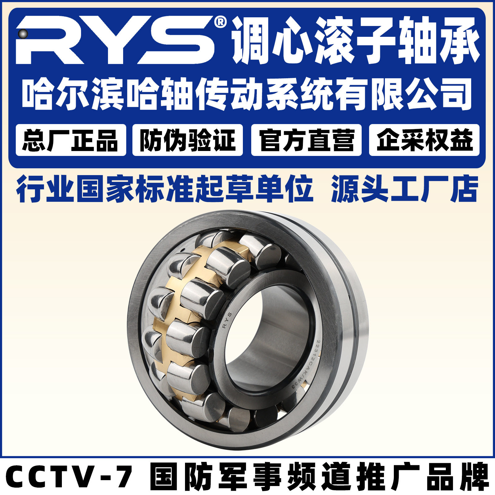 RYS 哈轴传动 22213 22214 22215 22216 CA CC E K /W33