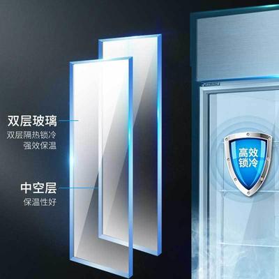 商用双开门冰箱饮料冷藏柜蔬菜保鲜展示柜玻璃门大容量点菜保鲜柜
