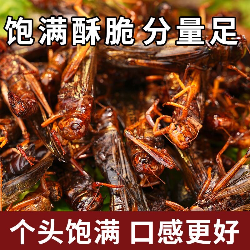 油炸蚂蚱】新鲜即食零食去翅膀蝗虫麻辣椒盐小吃昆虫美食蚂蚱新鲜