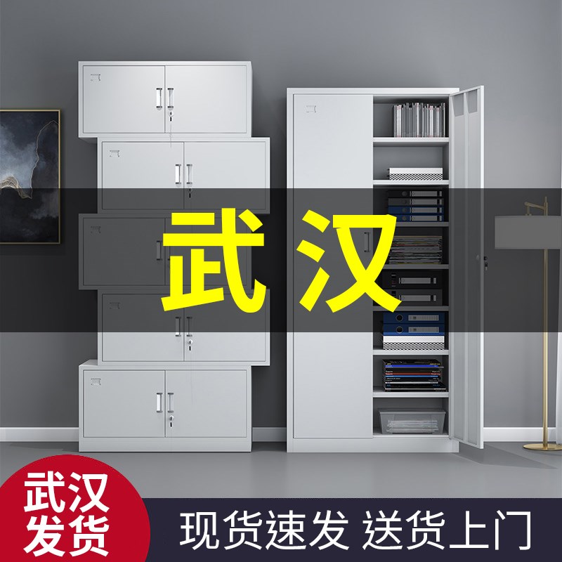 速发武汉体分五节储皮文件柜办公室铁物资料柜带锁凭证财务档案柜