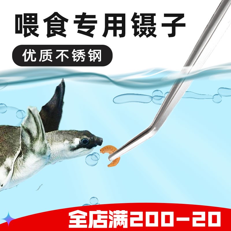 速发乌宫爬宠守龟角子龙鱼喂食镊子仓鼠喂食夹蛙加长不锈钢喂食