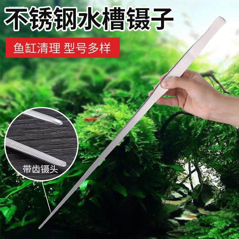 速发超长不锈钢镊子加长加厚大号取物夹子水草多肉工具大摄子钳维