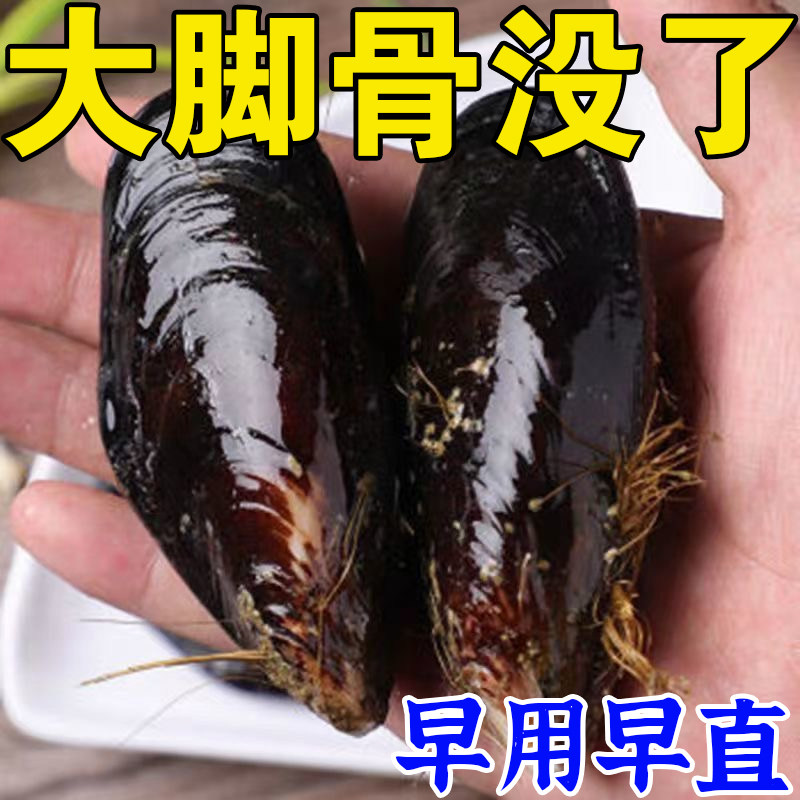 速发[早用早直]大脚骨脚趾外叠专用膏贴拇重翻专器拇指外翻矫正神