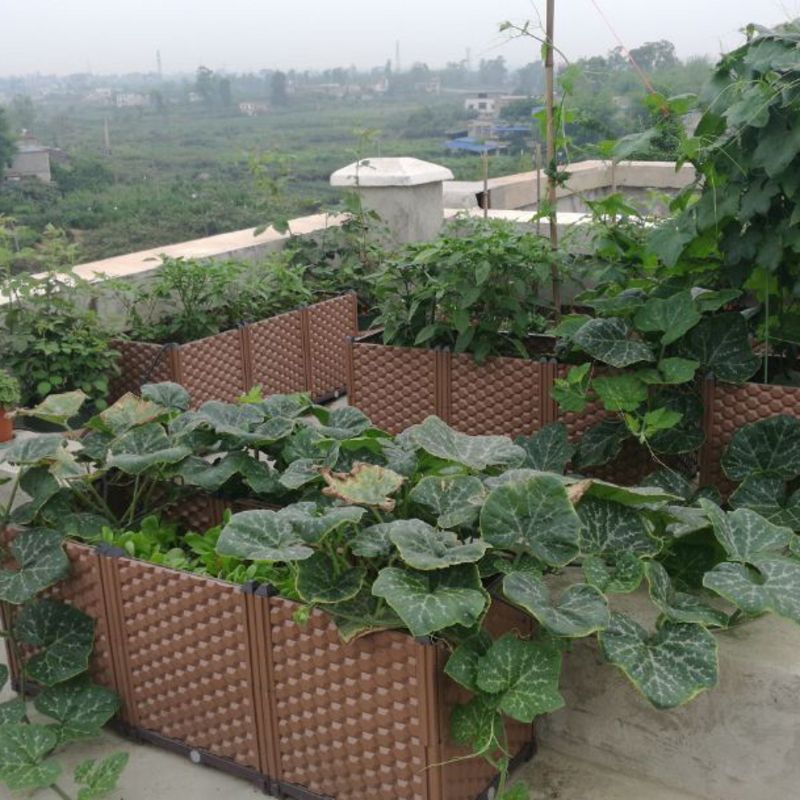 箱户外盆蔬菜阳台家庭种菜小菜园天台楼顶种菜塑料庭院种植花盆箱