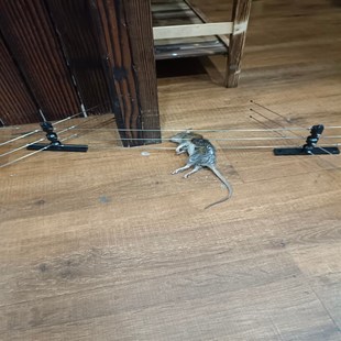 灭鼠电网室内家用户外安s全精准捕鼠电老鼠神器养殖仓储餐厅食堂