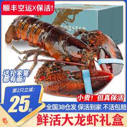 【保活到家】波士顿龙虾鲜活特大波龙澳龙超大加拿大龙虾送礼盒