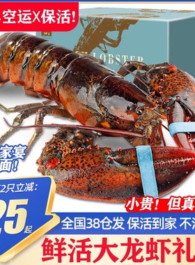 【保活到家】波士顿龙虾鲜活特大波龙澳龙超大加拿大龙虾送礼盒