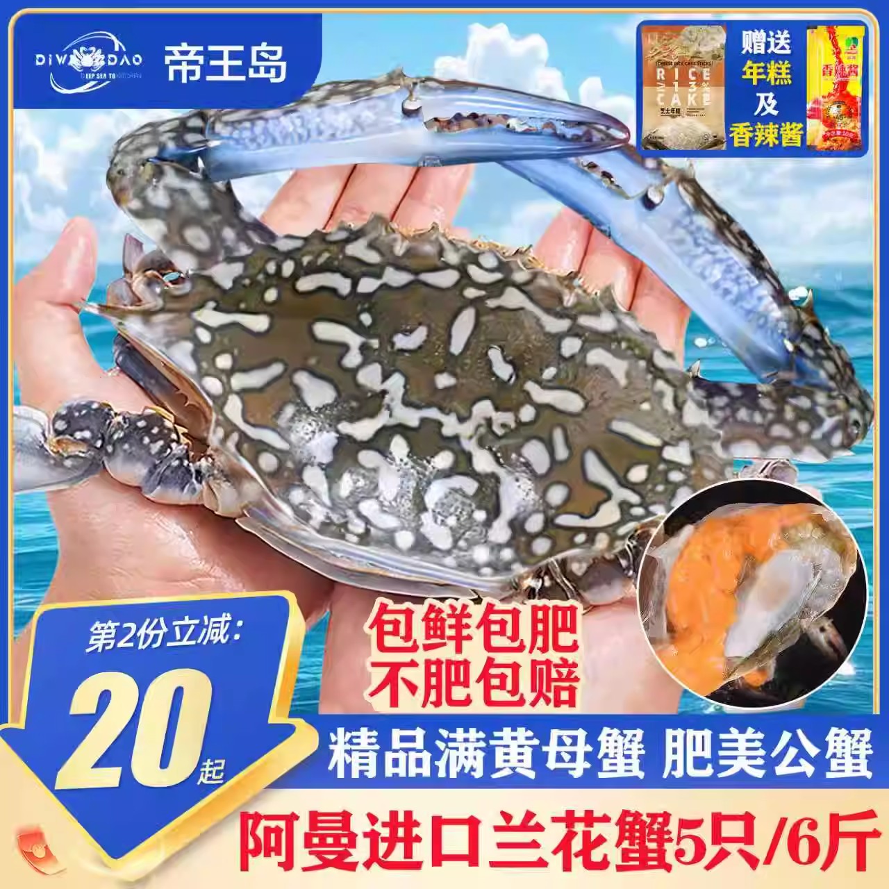 螃蟹梭子蟹鲜活速冻兰花蟹大海蟹飞蟹海鲜水产蟹类新鲜红膏蟹母蟹