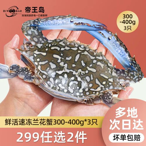 【299任选2件】鲜活速冻兰花蟹300-400g/只公蟹