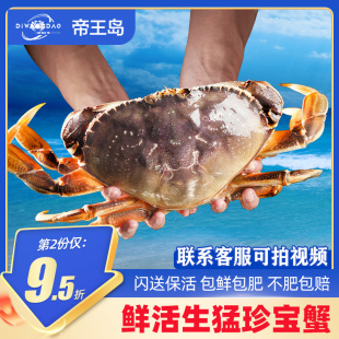 【鲜活发货】珍宝蟹面包蟹加拿大进口超大特大新鲜大螃蟹鲜活到家