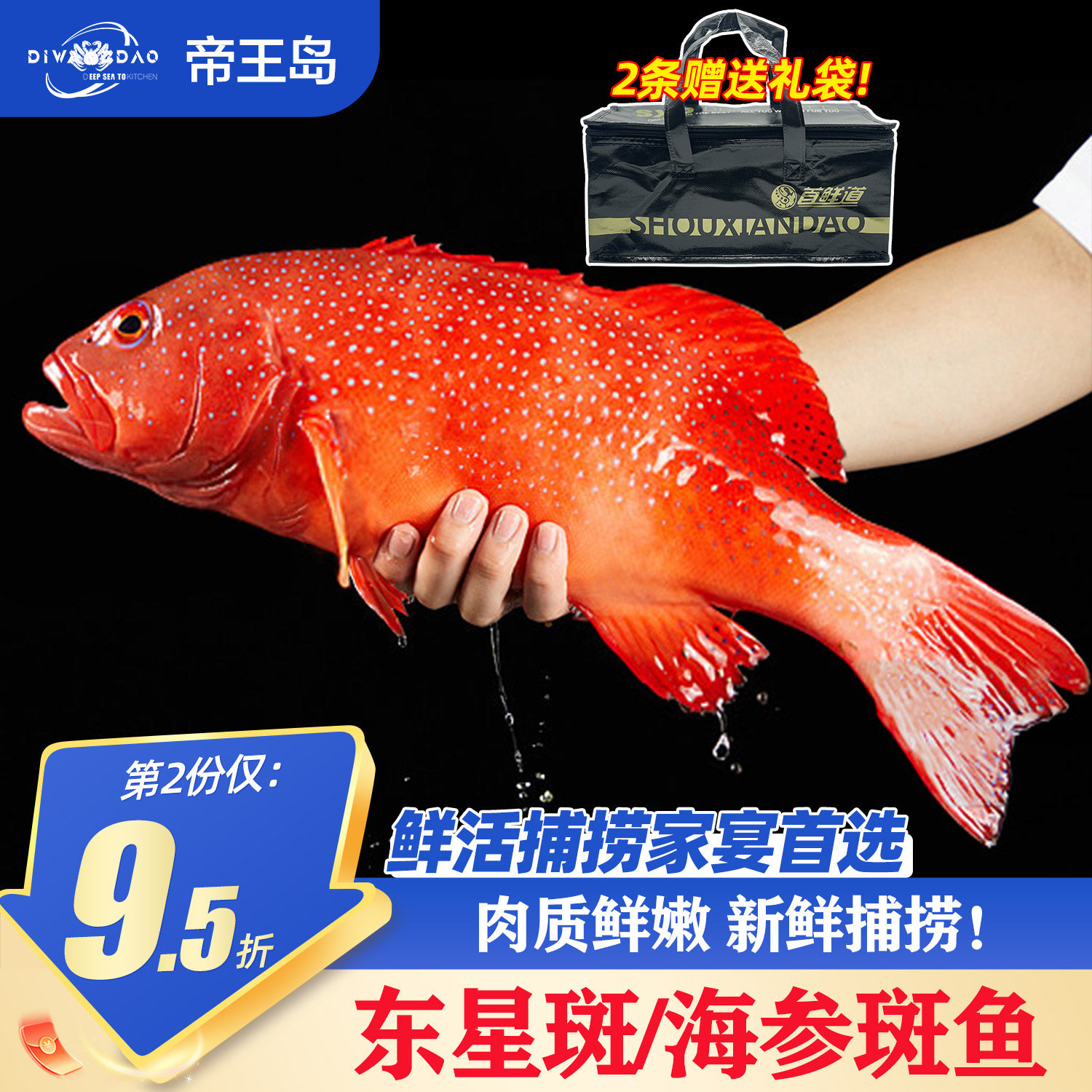 东星斑鲜活速冻深海捕捞超大燕尾斑石斑鱼冷冻进口海鲜礼盒