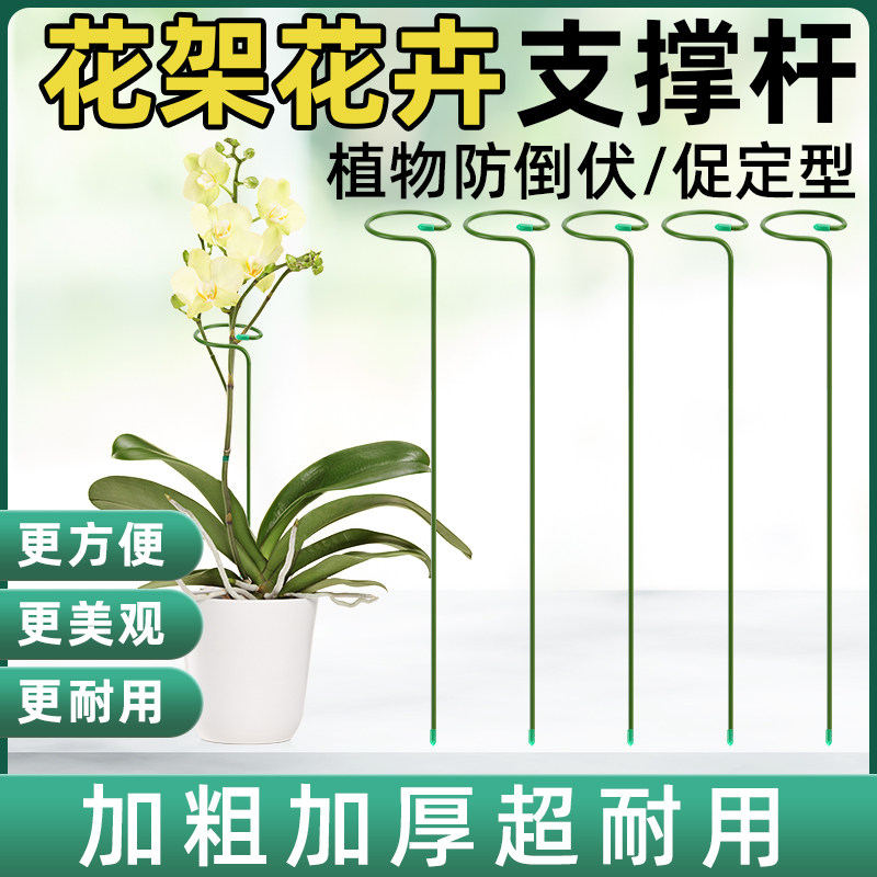 速发花架支撑杆植物花卉定倒伏支撑架防顶红支架园艺盆栽固朱月季