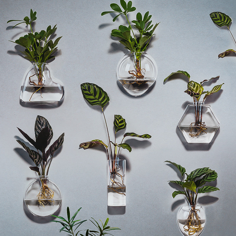 速发壁挂植培花瓶玻璃瓶器皿挂墙植挂水养创意墙上悬物式鱼缸绿水