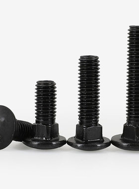 速发8.8级高强度马车螺丝GB12半圆头方颈螺栓 加长栓钉18MM021MM1