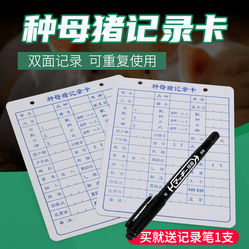 双面不掉色种母猪记录卡档案卡
