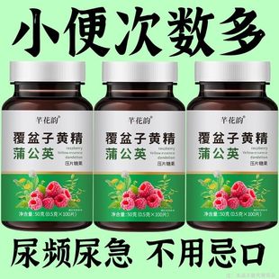 尿频尿急小便次数多起夜频繁覆盆子黄精蒲公英片夜尿频繁