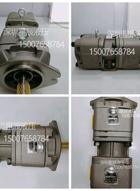 HG22-125-125-01R-VPC-P-36伺服油泵CP22-100-100-P-1Z0双联齿轮