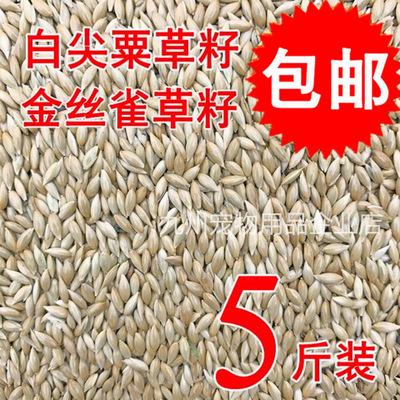 新货加纳利子鹦鹉鸟食油尖粟